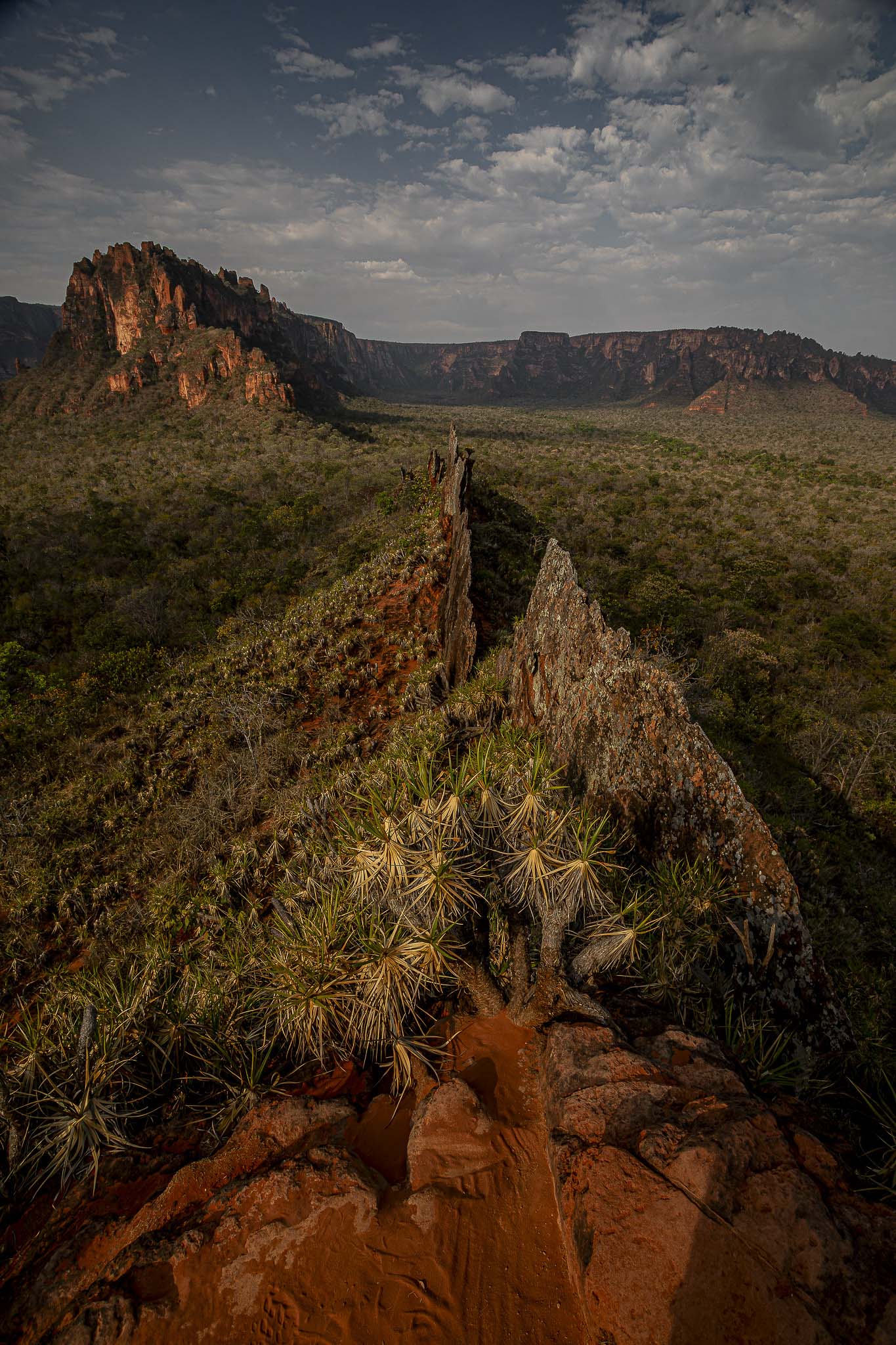 Imagem Expedição Chap Guim - ESEC Serra das Araras--26 da expedição de expedicoes/araras_25